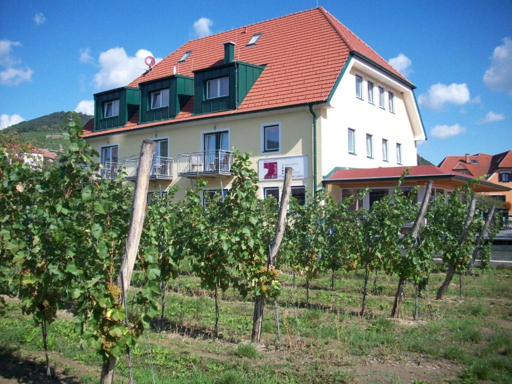 Hotel Garni Weinquadrat Вайсенкирхен-ин-дер-Вахау Экстерьер фото
